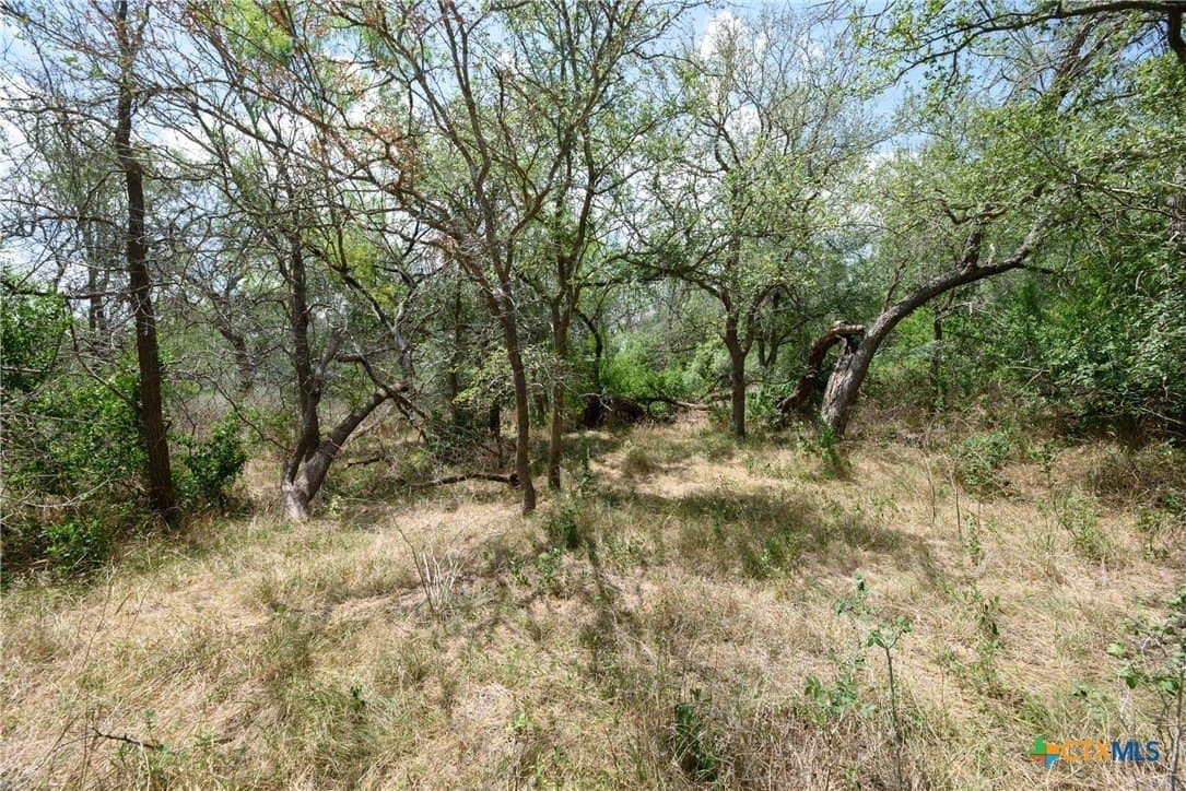 87.1 acres in Guadalupe County - photo 9