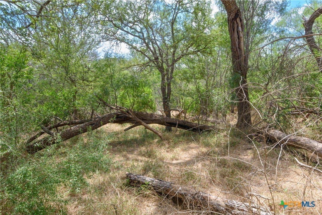 87.1 acres in Guadalupe County - photo 13