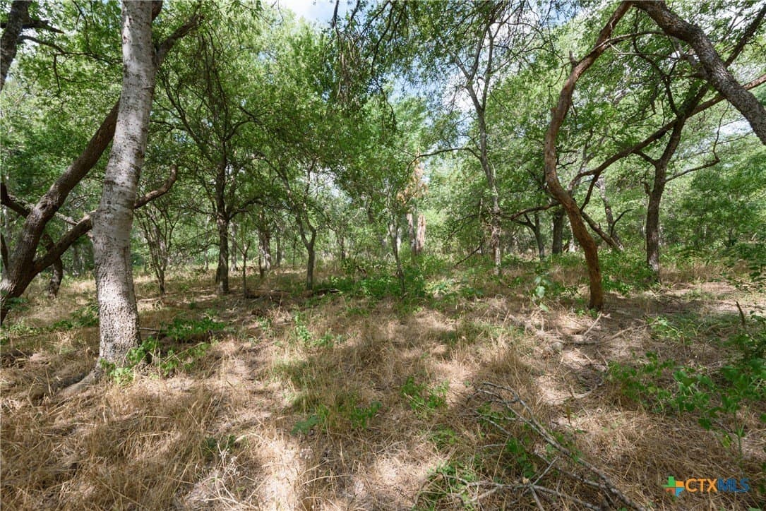 87.1 acres in Guadalupe County - photo 10