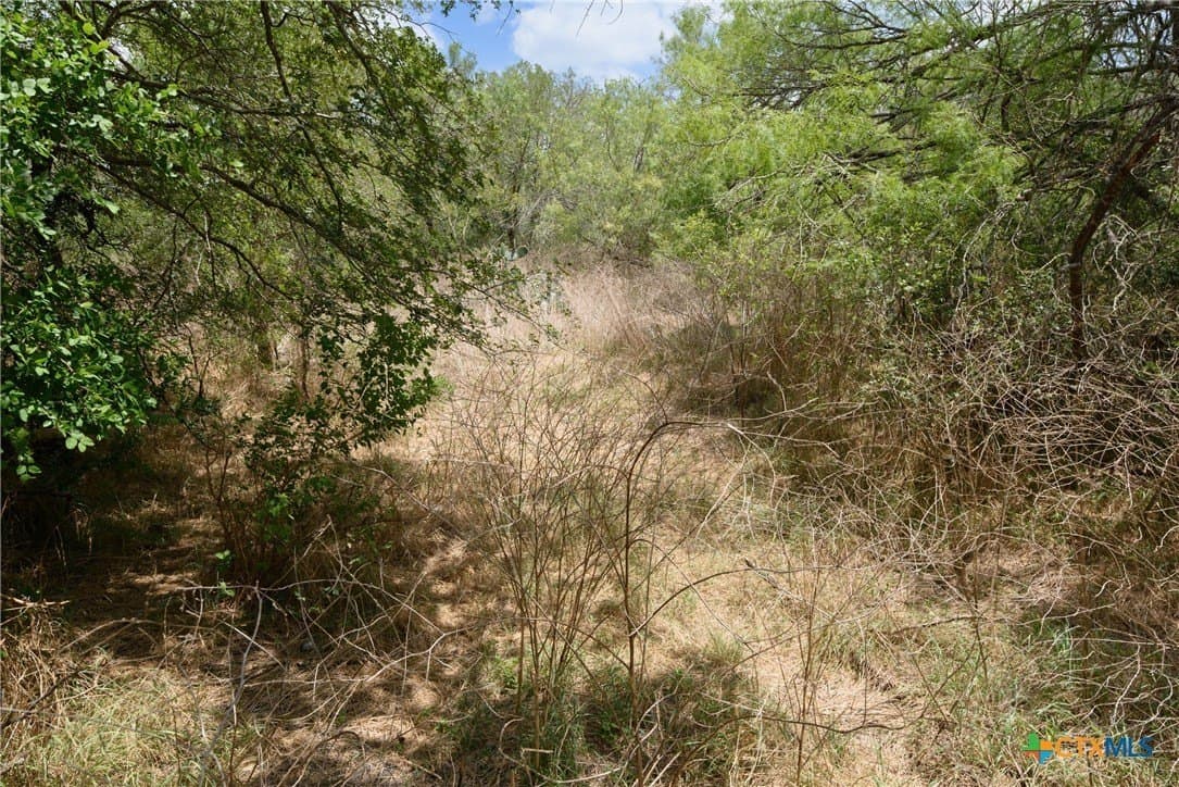 87.1 acres in Guadalupe County - photo 14