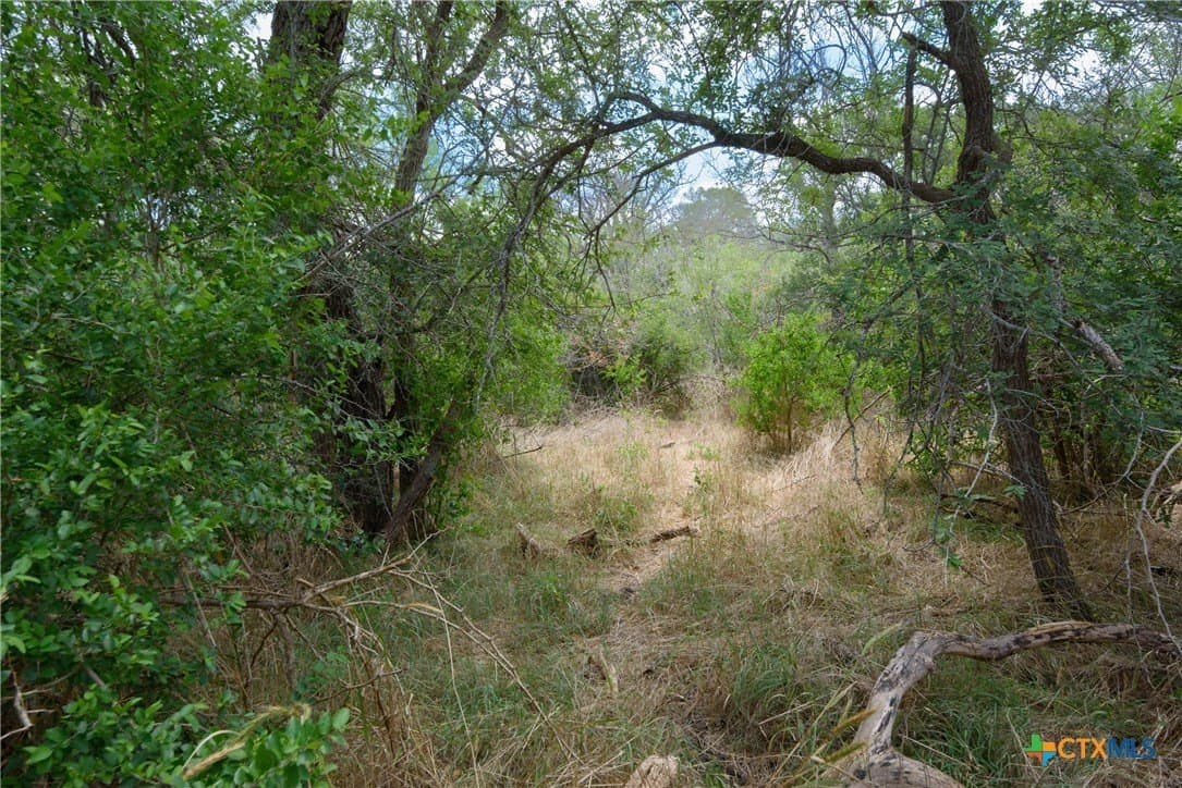 87.1 acres in Guadalupe County - photo 12