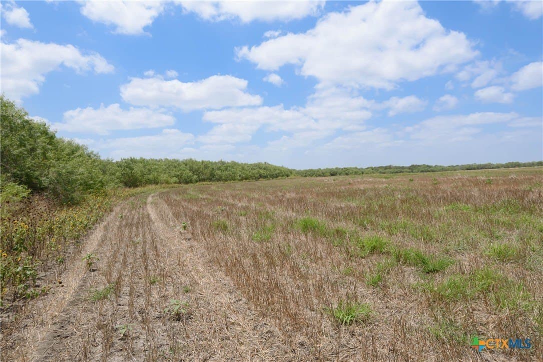 87.1 acres in Guadalupe County - photo 8