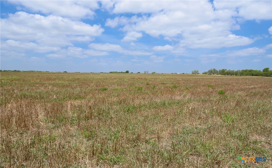 87.1 acres in Guadalupe County - photo 7