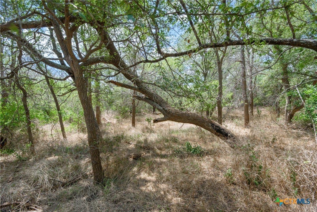 87.1 acres in Guadalupe County - photo 11