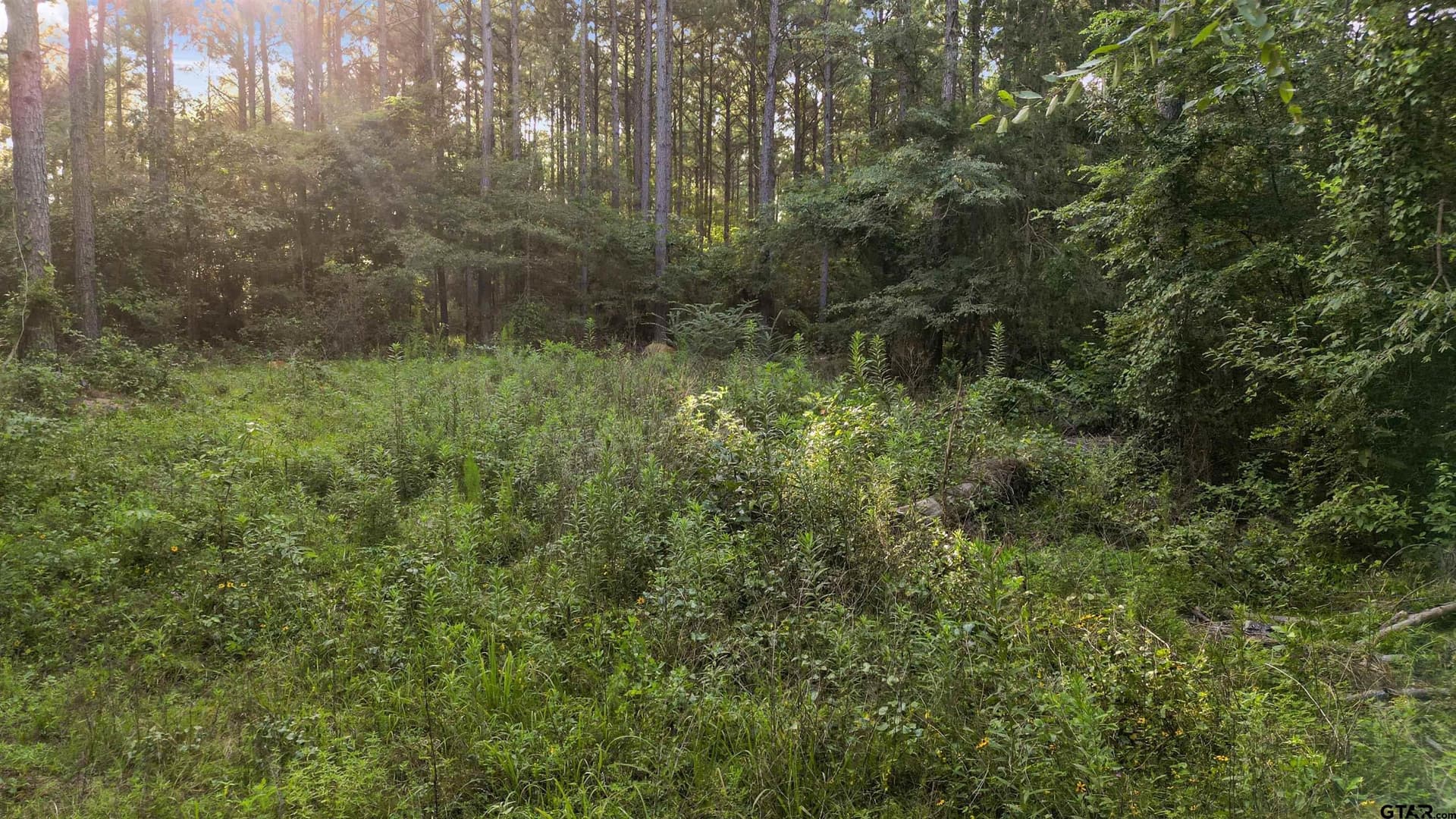 17.57 acres in Cherokee County - photo 23