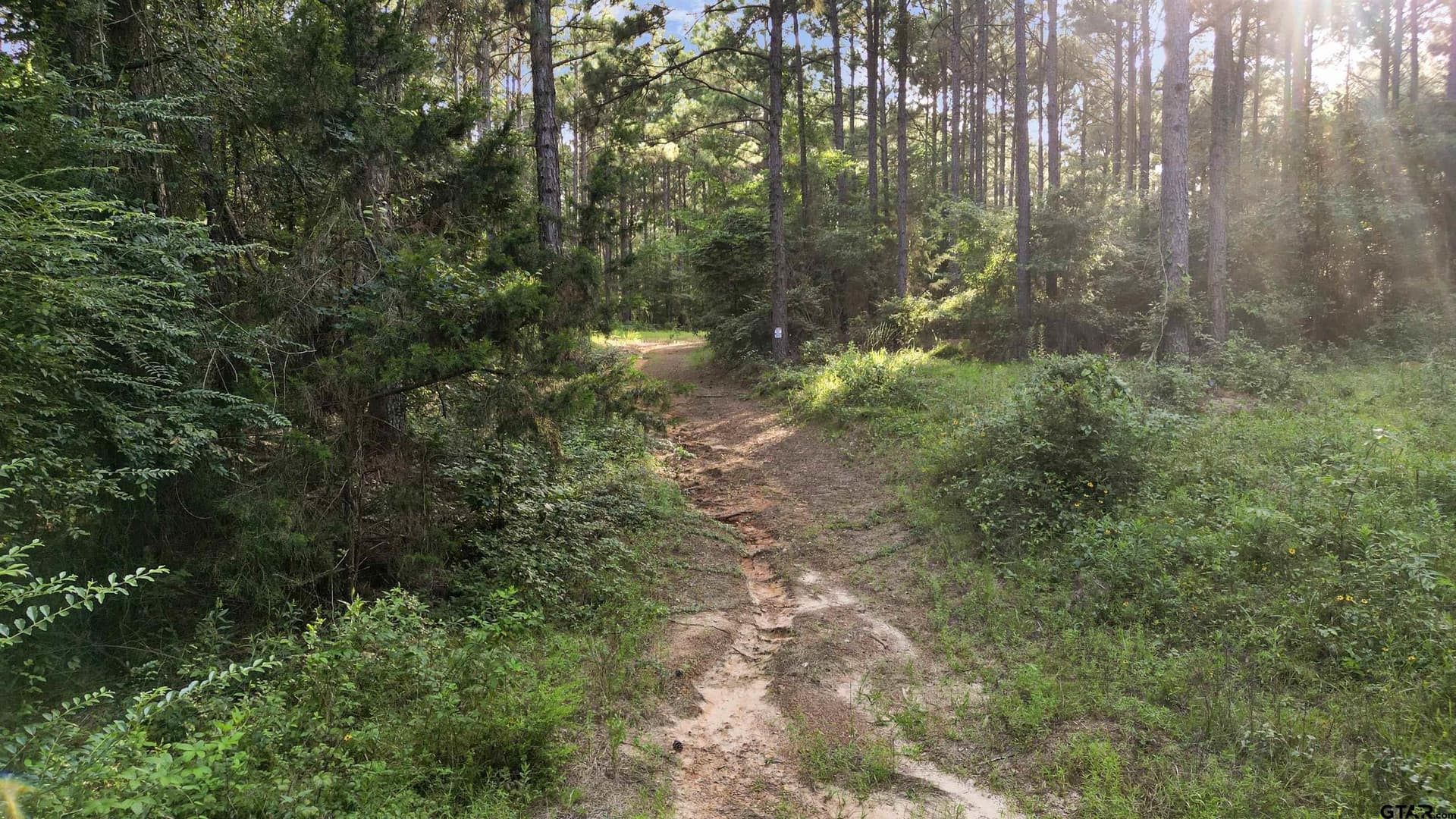 17.57 acres in Cherokee County - photo 15