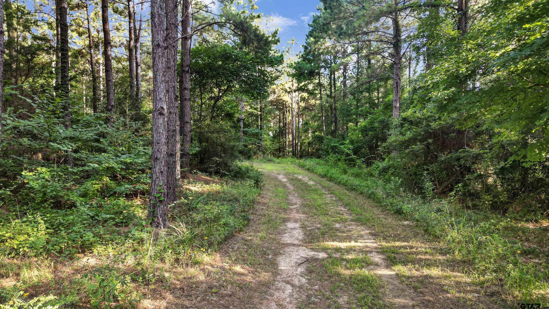 17.57 acres in Cherokee County - photo 18