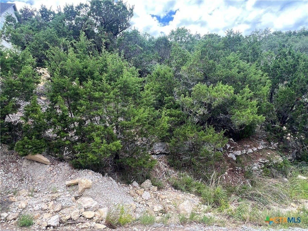 0.21 acres in Comal County - photo 4