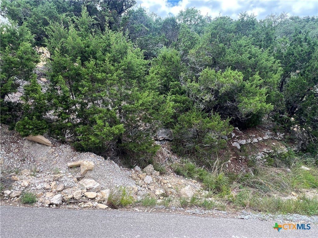 0.21 acres in Comal County - photo 5