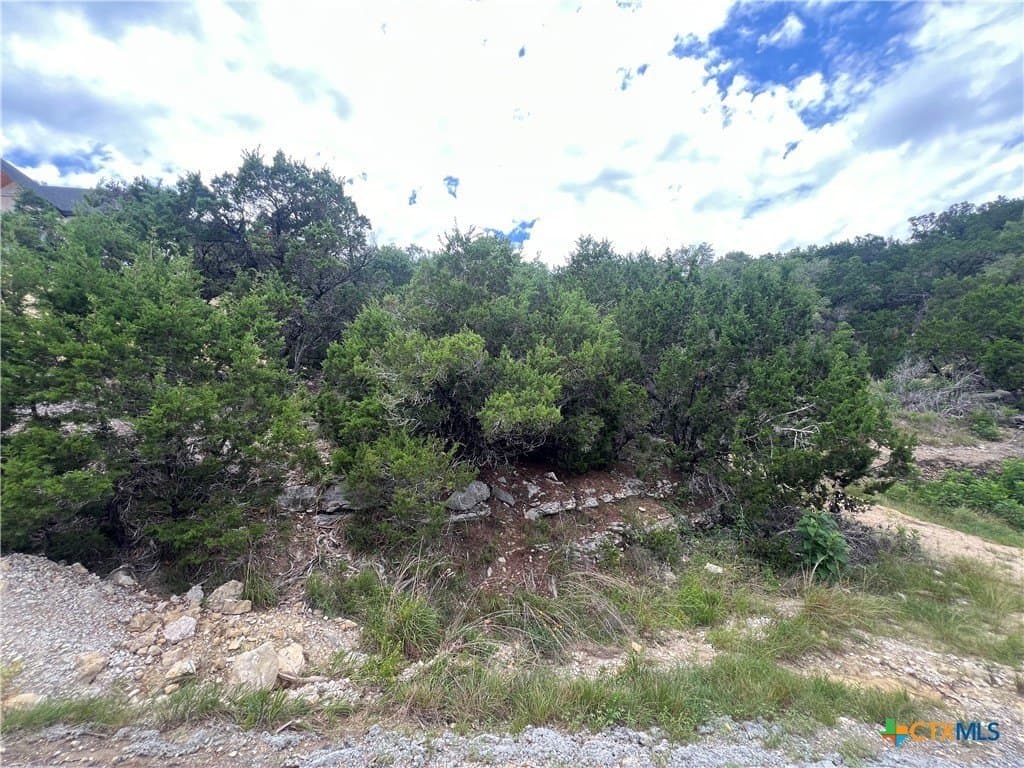 0.21 acres in Comal County - photo 2