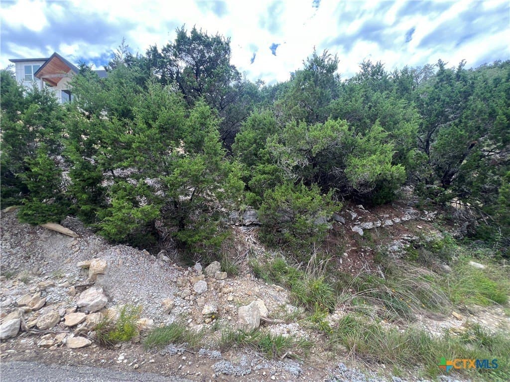 0.21 acres in Comal County - photo 7