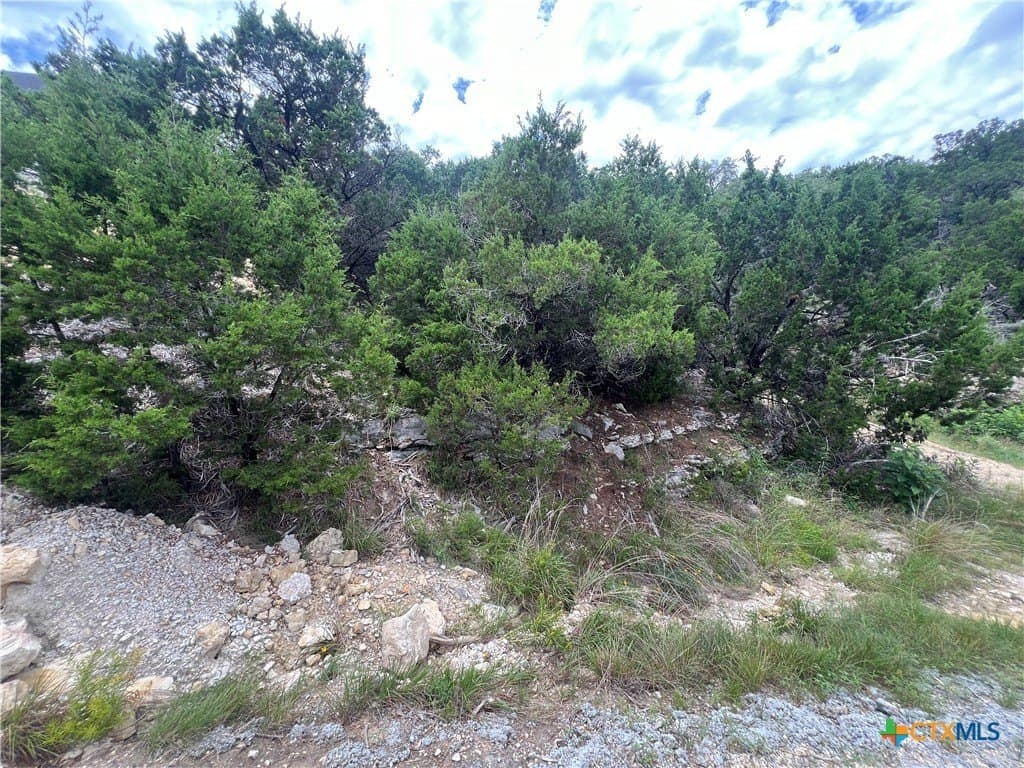 0.21 acres in Comal County - photo 8