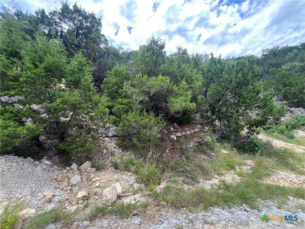 0.21 acres in Comal County - photo 6