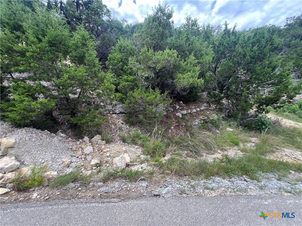 0.21 acres in Comal County - photo 9