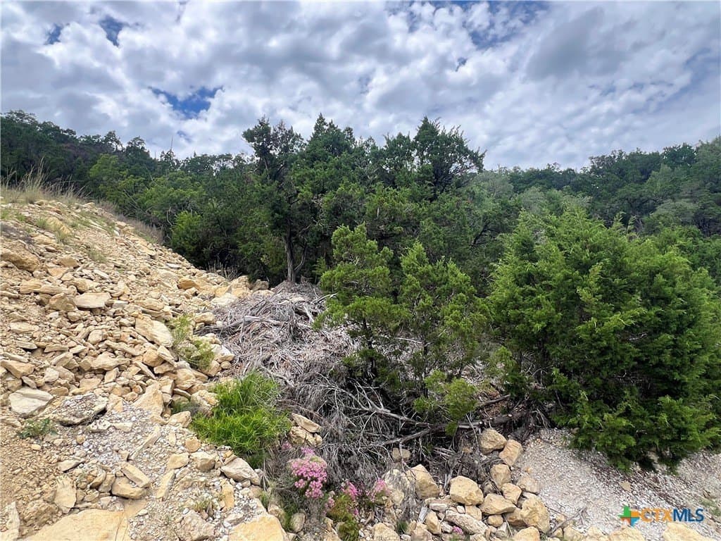 0.21 acres in Comal County - photo 3