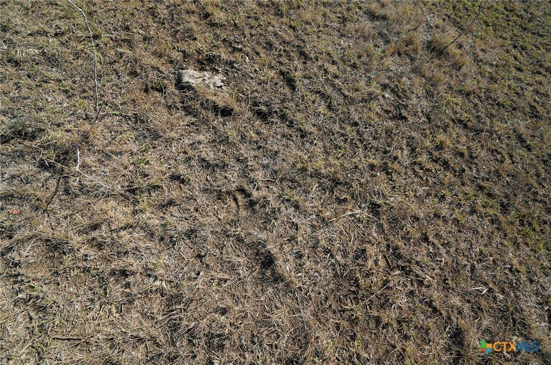 10.01 acres in Gonzales County - photo 2