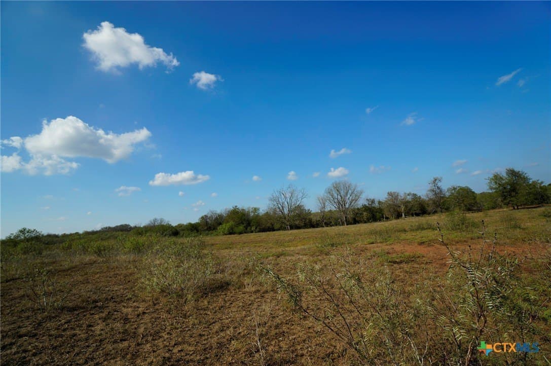10.01 acres in Gonzales County - photo 24