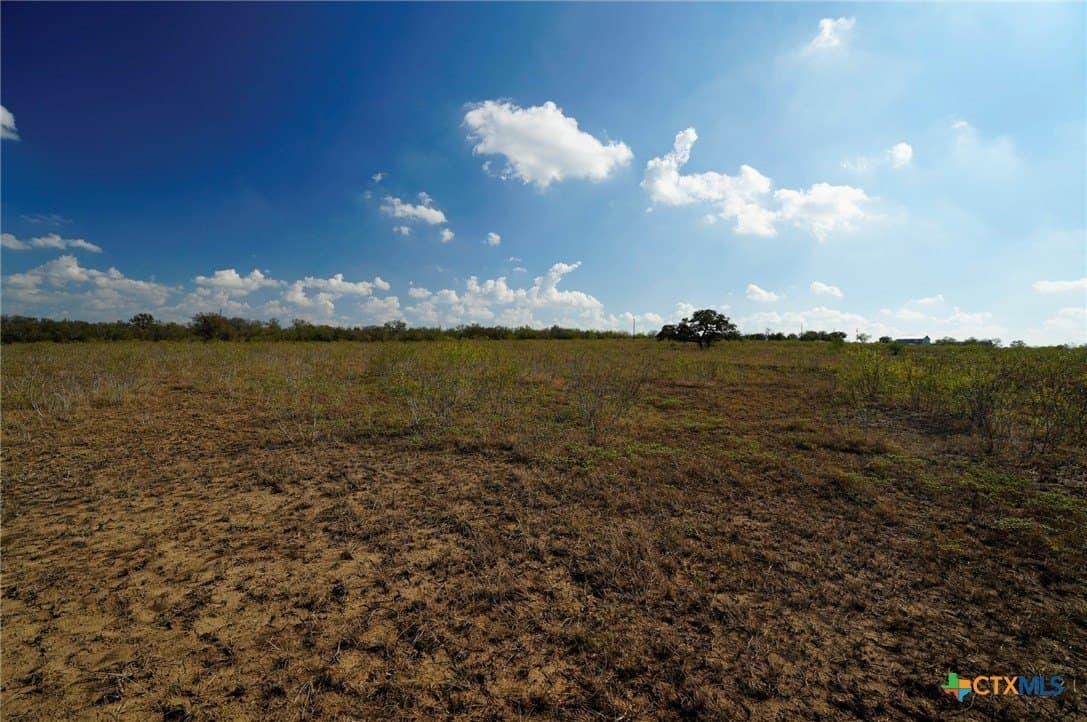 10.01 acres in Gonzales County - photo 9
