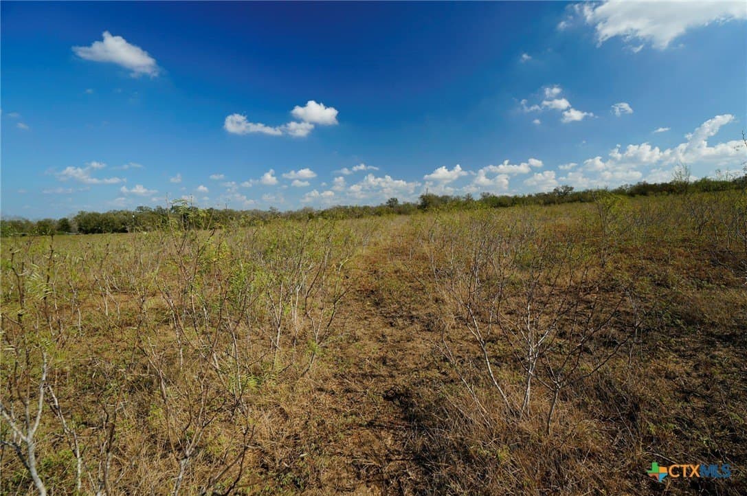 10.01 acres in Gonzales County - photo 7