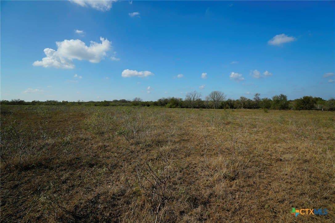 10.01 acres in Gonzales County - photo 20