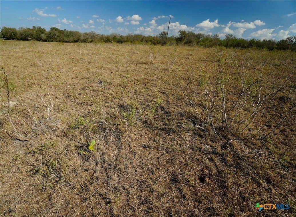 10.01 acres in Gonzales County - photo 4