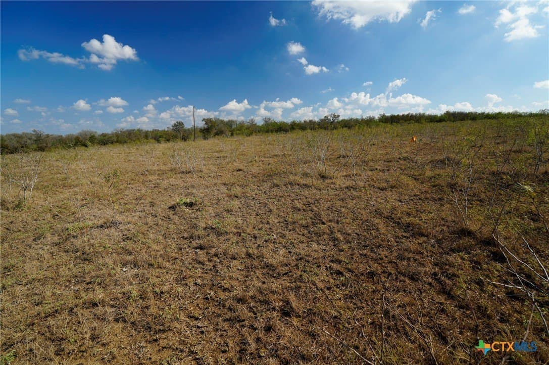 10.01 acres in Gonzales County - photo 5
