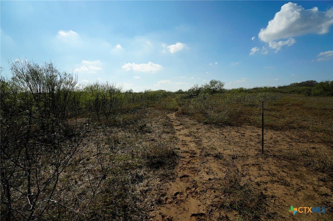 10.01 acres in Gonzales County - photo 13