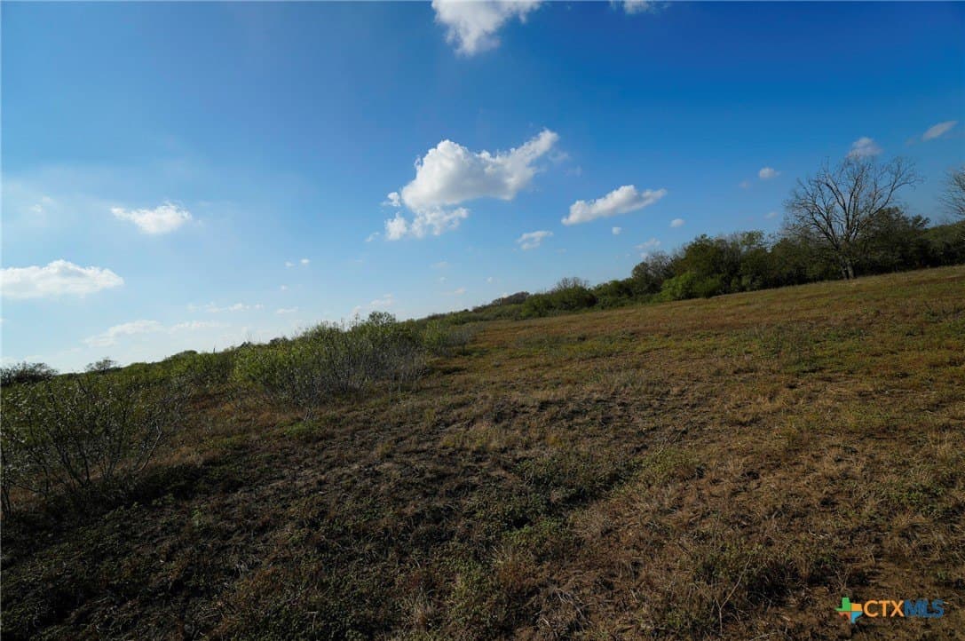 10.01 acres in Gonzales County - photo 22