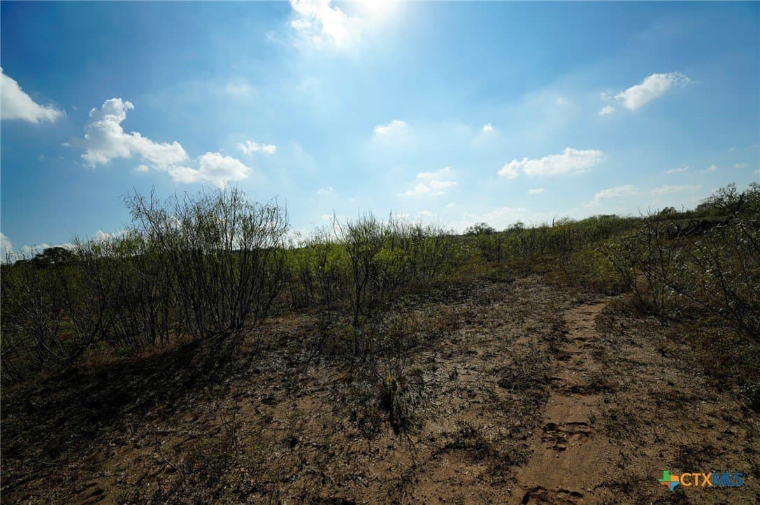 10.01 acres in Gonzales County - photo 12
