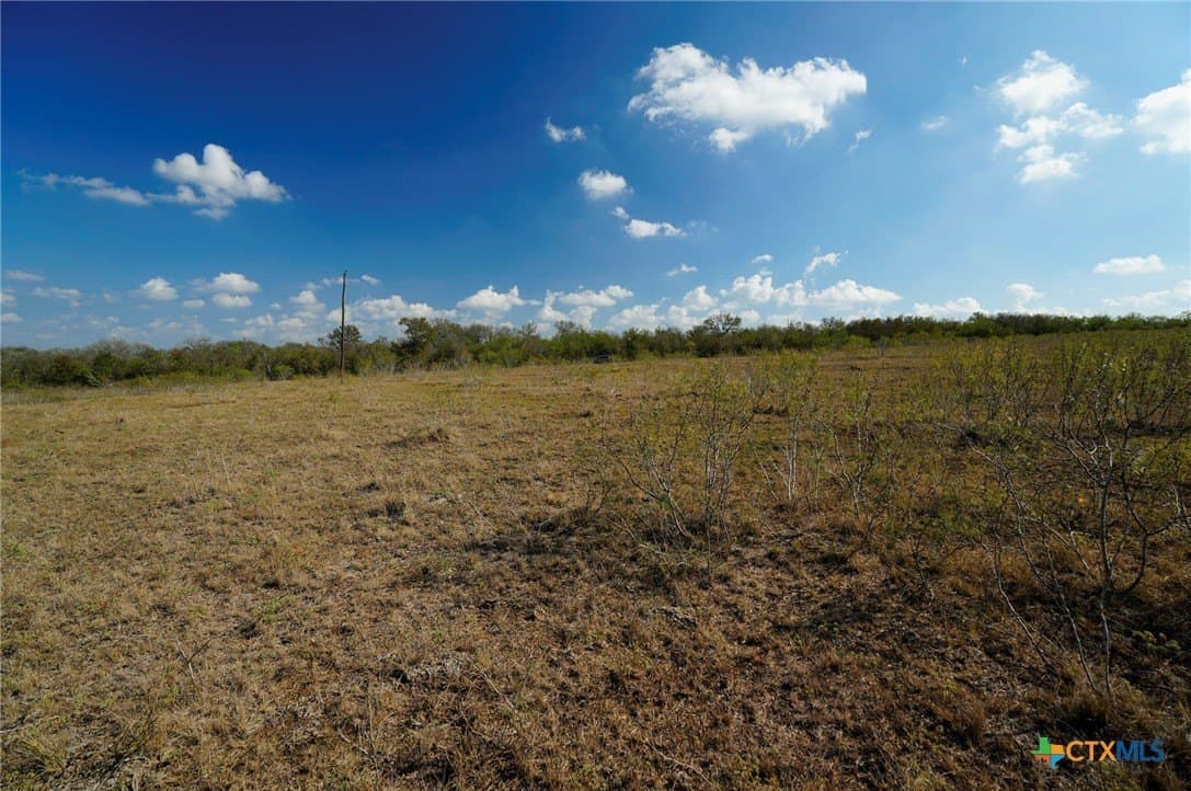 10.01 acres in Gonzales County - photo 3