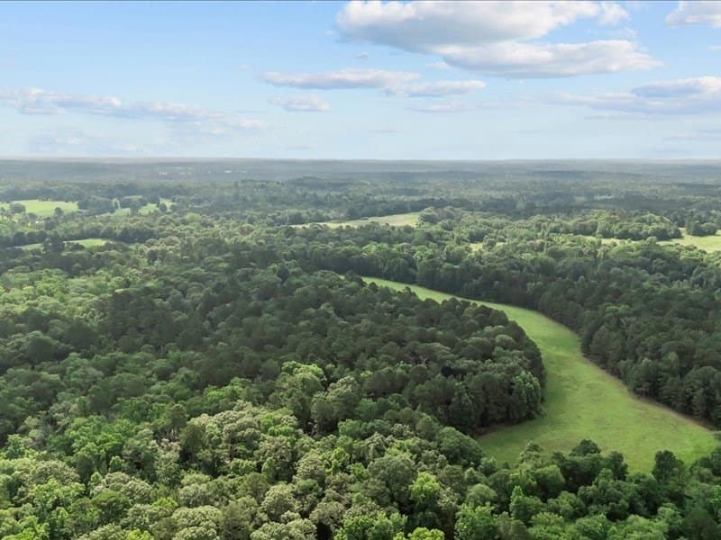 79.45 acres in ANDERSON County - photo 12