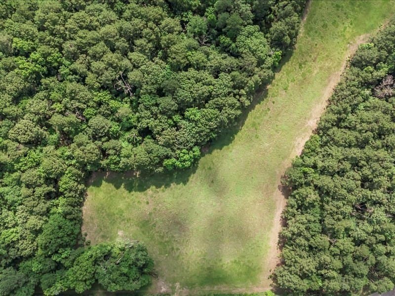79.45 acres in ANDERSON County - photo 11