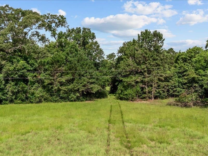 79.45 acres in ANDERSON County - photo 5
