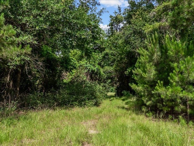 79.45 acres in ANDERSON County - photo 3