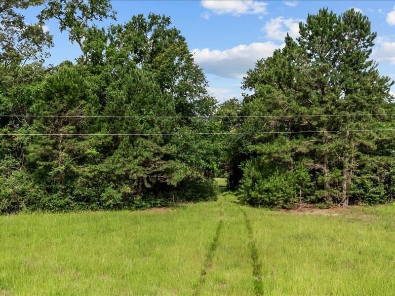 79.45 acres in ANDERSON County - photo 4