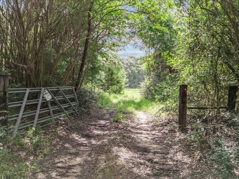 79.45 acres in ANDERSON County - photo 2