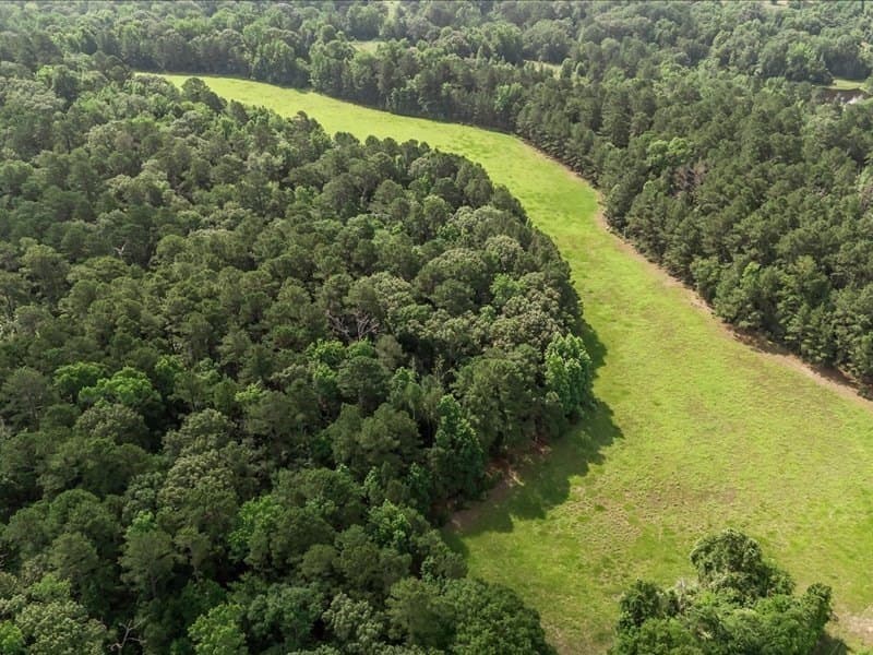 79.45 acres in ANDERSON County - photo 10