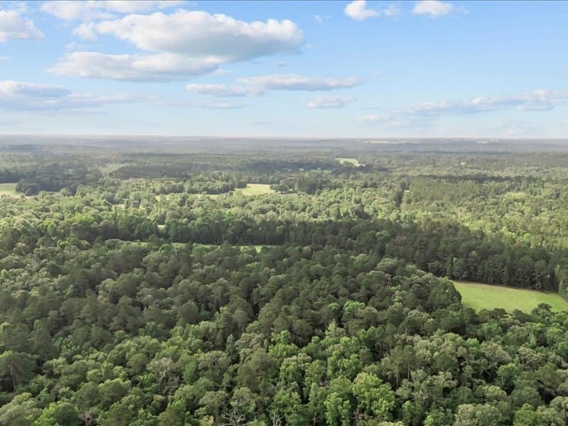 79.45 acres in ANDERSON County - photo 9