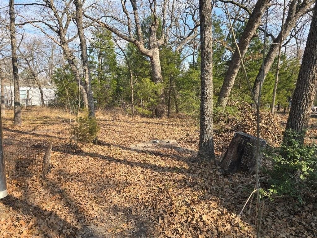 0.14 acres in Henderson County - photo 5