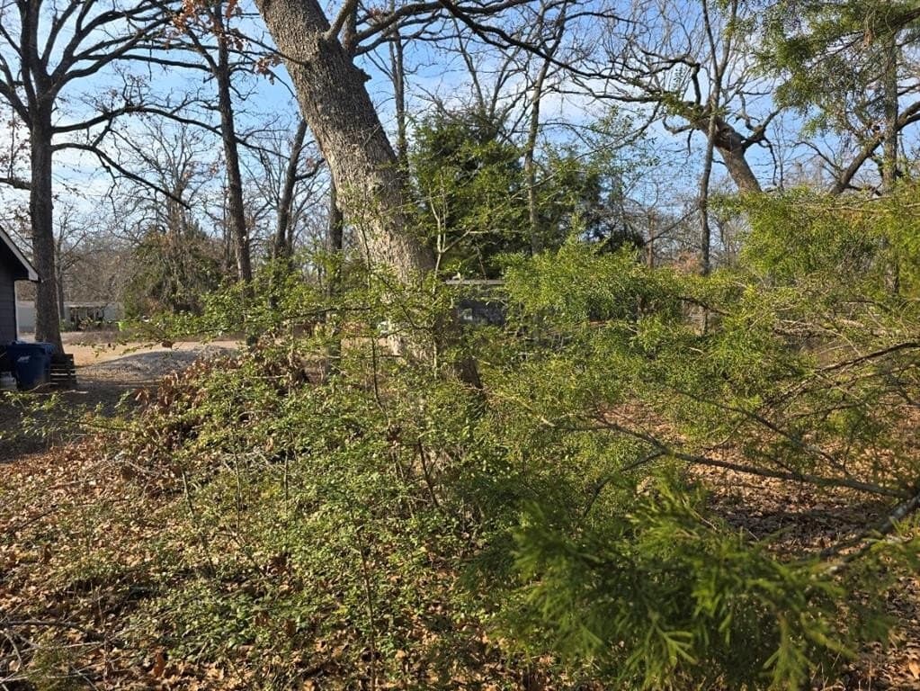 0.14 acres in Henderson County - photo 3