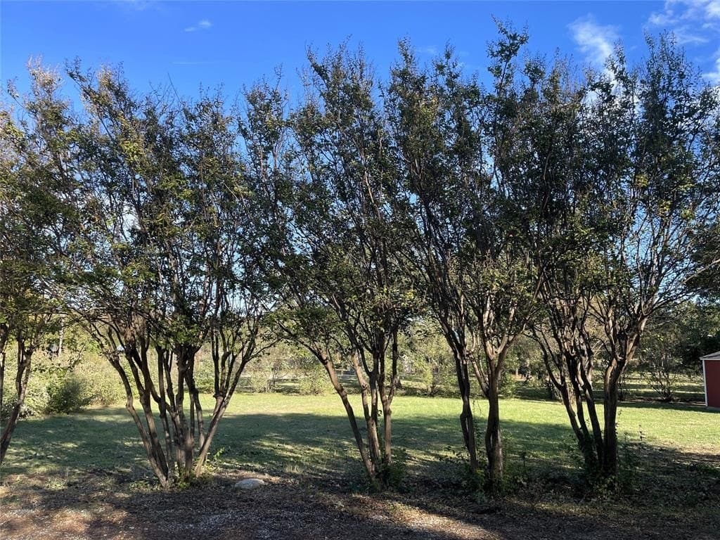 0.2 acres in Tarrant County - photo 16