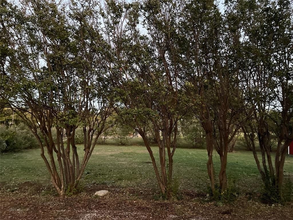 0.2 acres in Tarrant County - photo 21