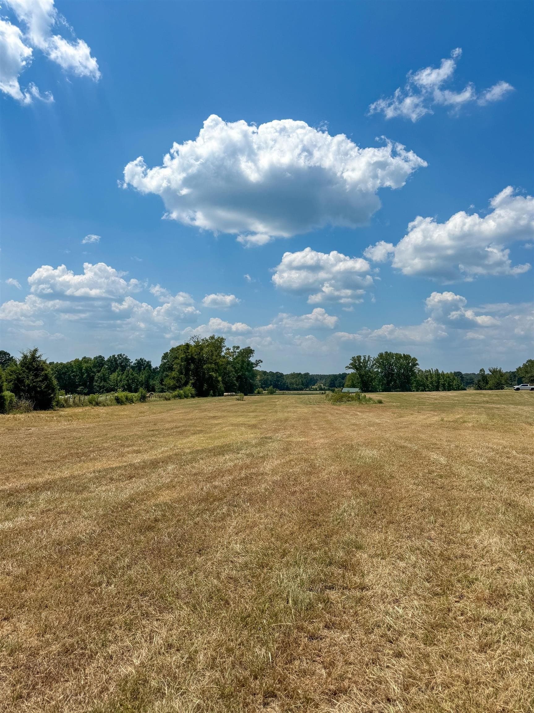 27 acres in Cass County - photo 5