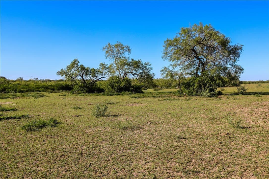 18.25 acres in Jim Wells County - photo 3