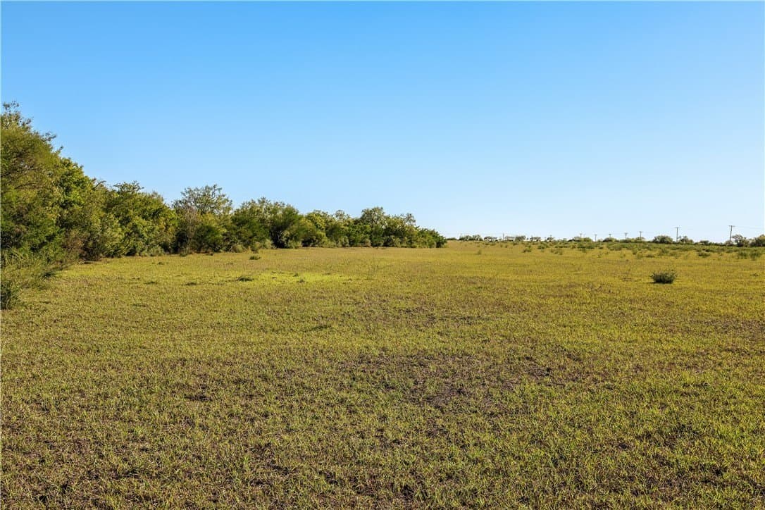 18.25 acres in Jim Wells County - photo 4
