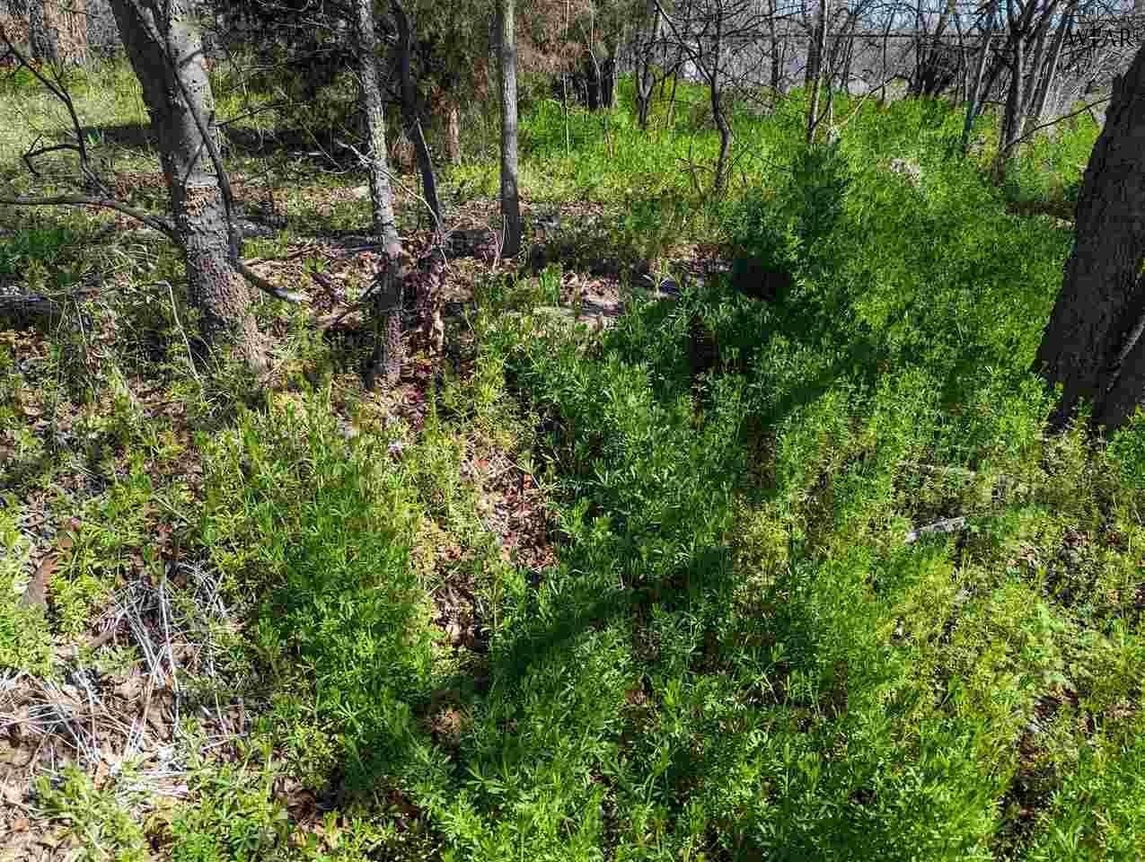 0.2 acres in Wichita County - photo 3