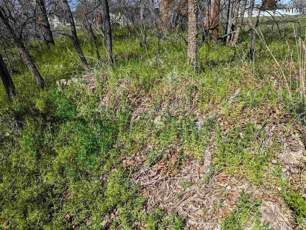 0.2 acres in Wichita County - photo 2