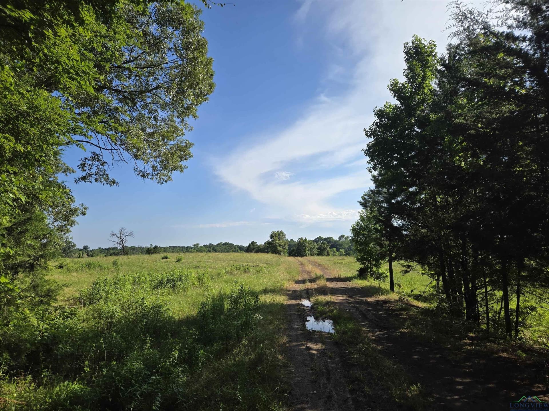 35.49 acres in Upshur County - photo 4