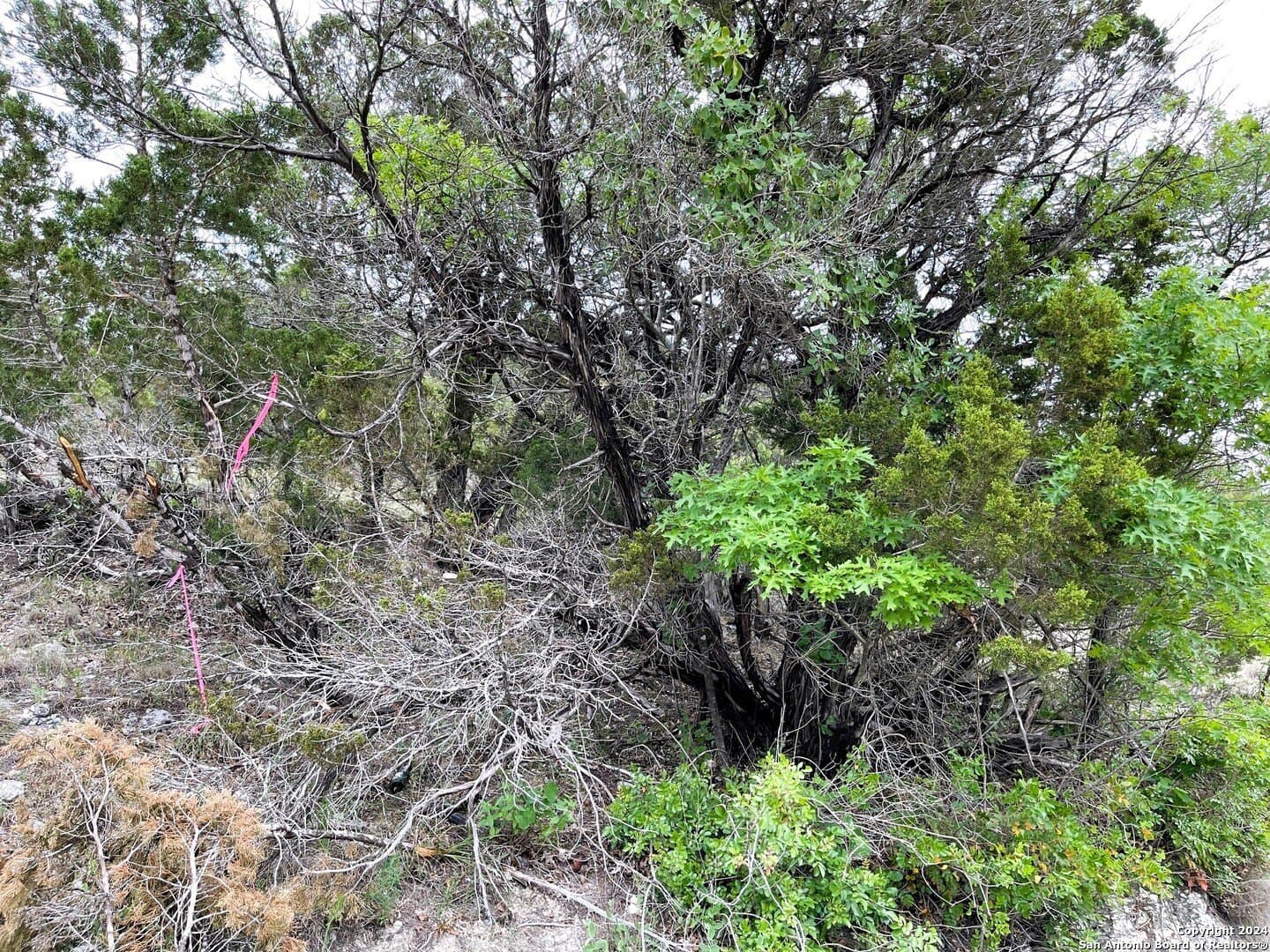 2.3 acres in Bandera County - photo 6