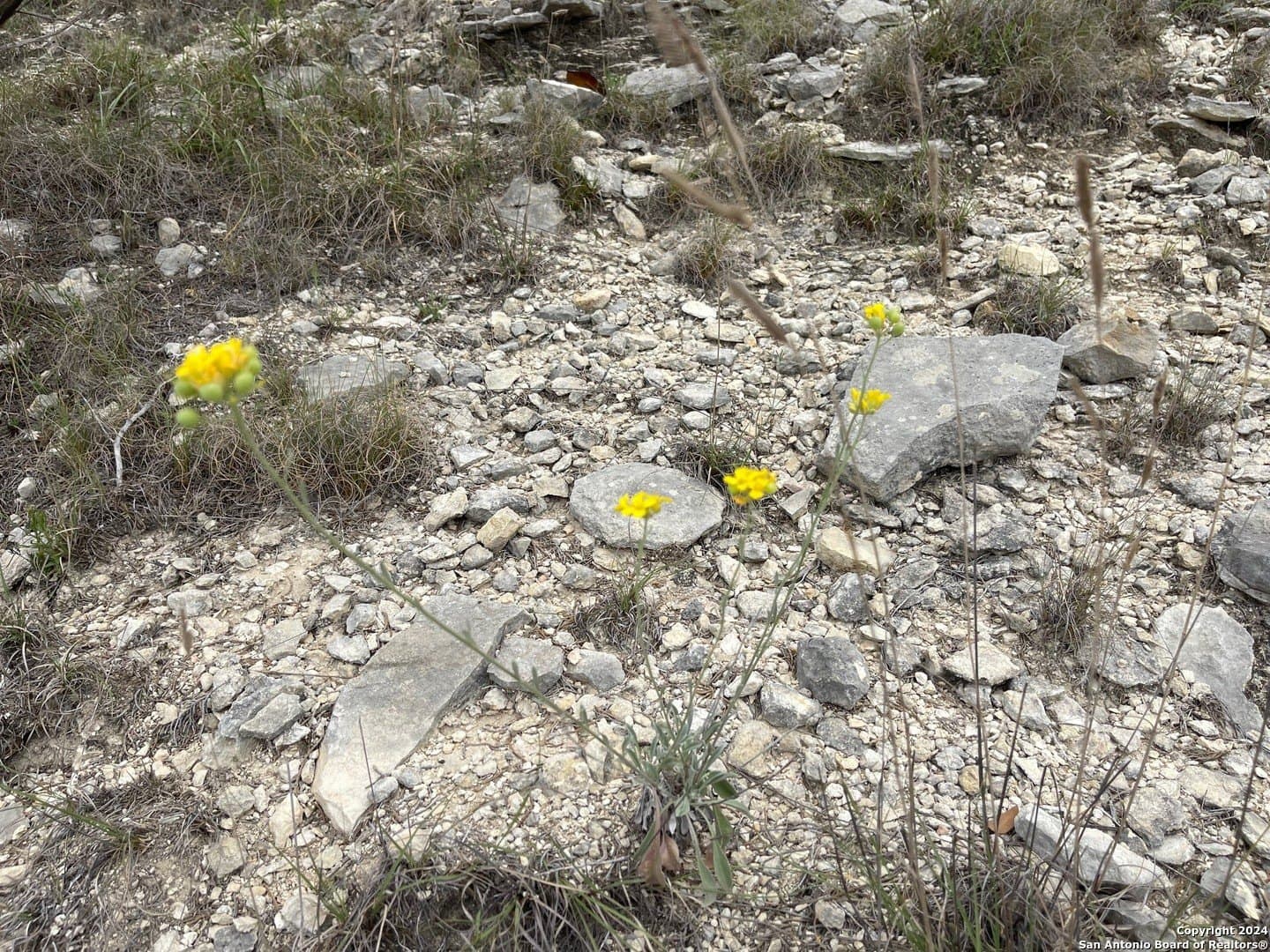 2.3 acres in Bandera County - photo 15